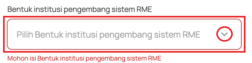 Bentuk Institusi Pengembang Sistem RME